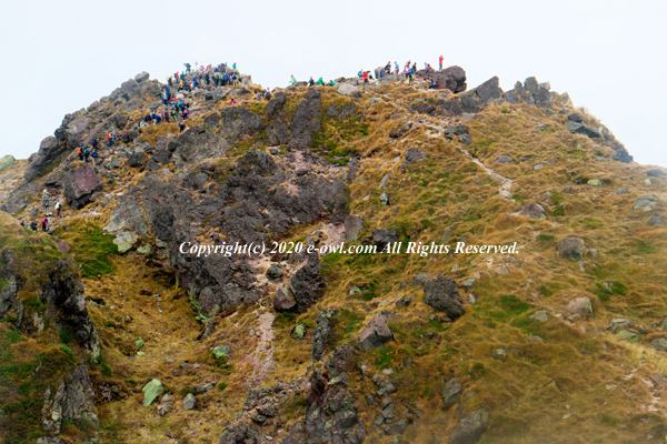 201003104725.jpg
