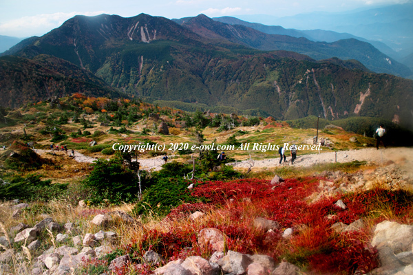201003095646.jpg