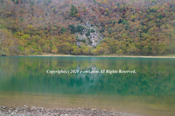 201003121542.jpg