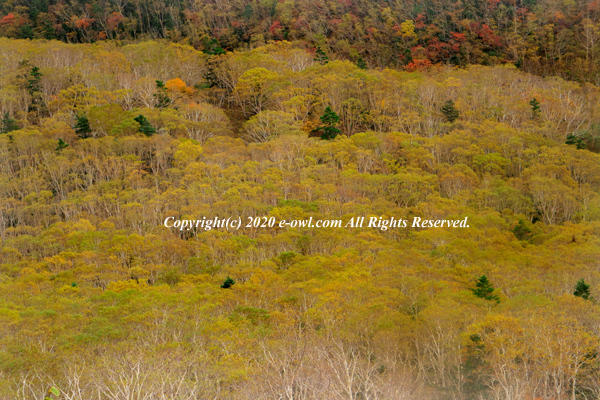 201003111247.jpg