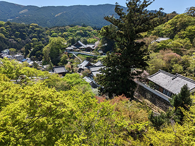 2023041008-(5).jpg
