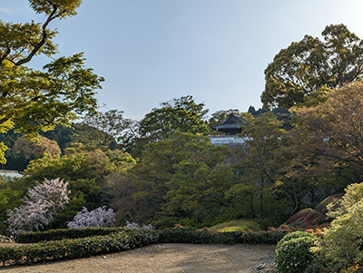 2023041023-(7).jpg