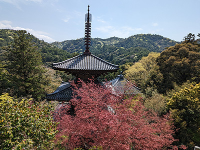 2023041126-(3).jpg