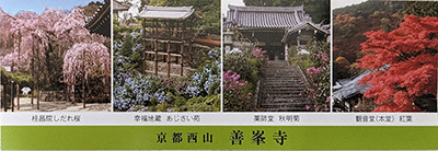 2023041320-(5).jpg