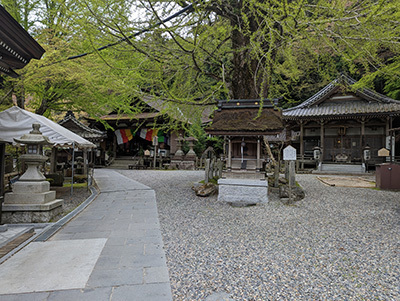2023041412-(4).jpg