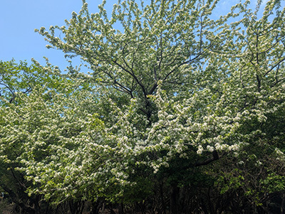 PXL_20250504_031503154.jpg