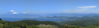 PXL_20250504_033010975.jpg