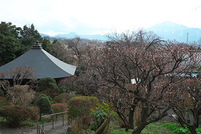 chichibu-20 (1).jpg